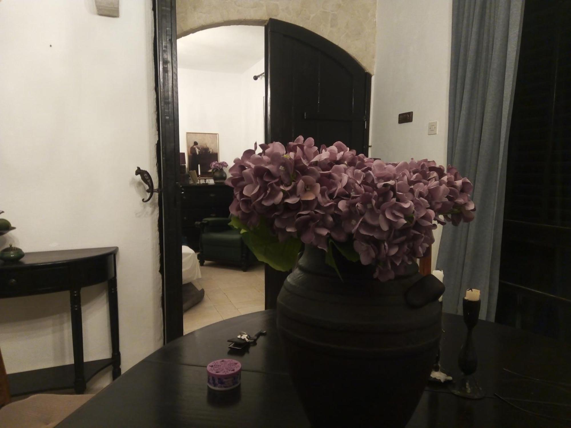 Apartment Victoria